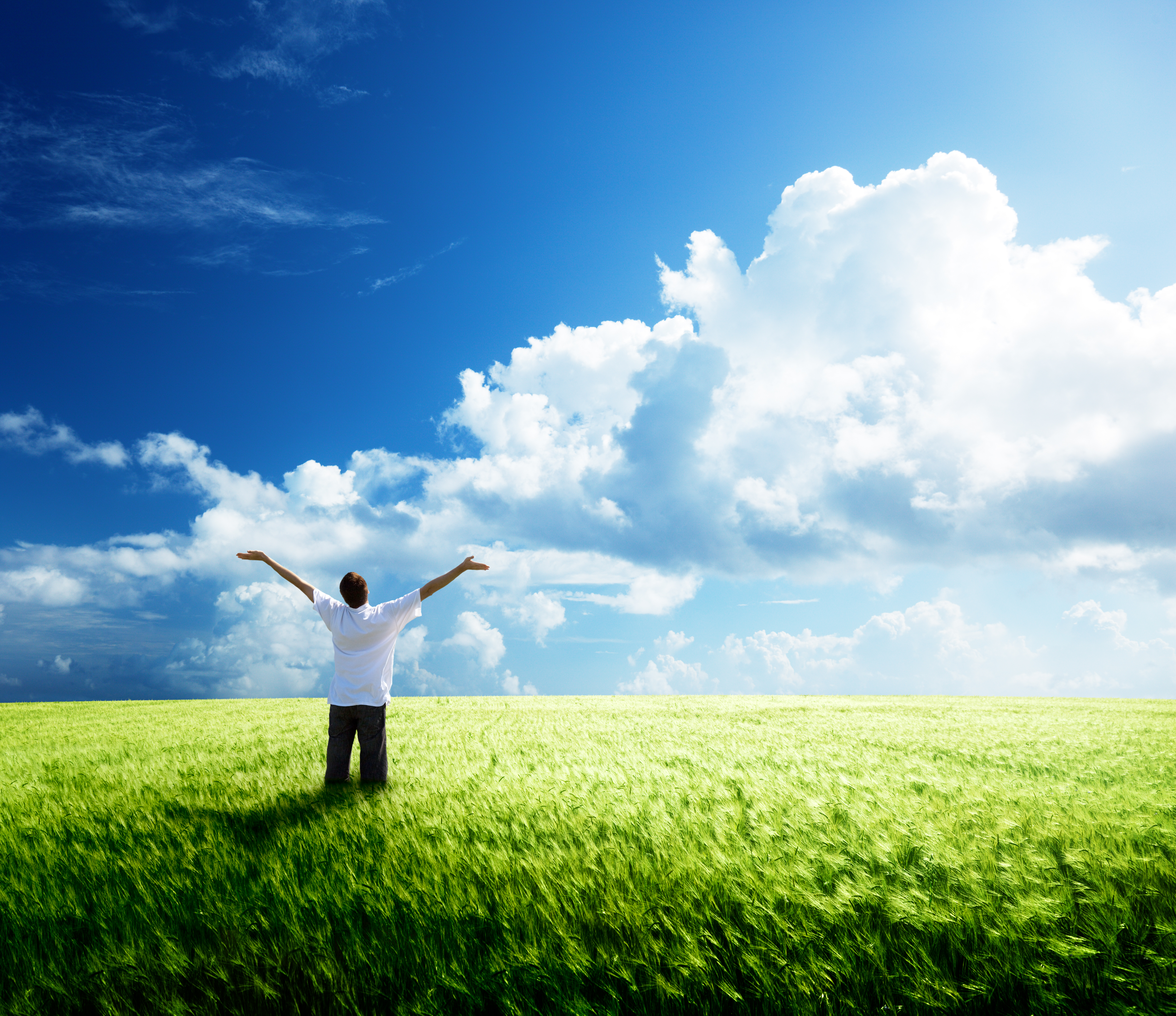 happy young man rest on wheat field